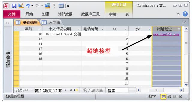 access数据库入门教程总结（一文进阶ACCESS数据库）(44)