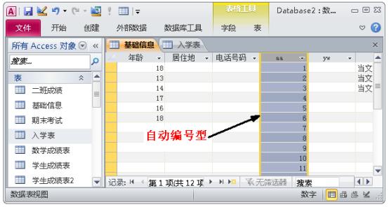 access数据库入门教程总结（一文进阶ACCESS数据库）(41)