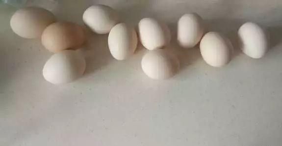 春分竖鸡蛋，春分你