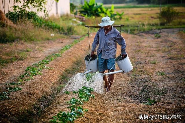 抑郁自杀身亡案例（160万条留言暴露真相）(21)