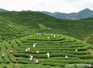 信阳最好景点（一起盘点信阳十大美景）(5)