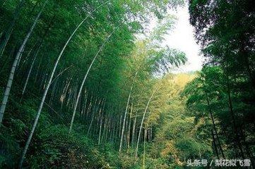 信阳最好景点（一起盘点信阳十大美景）(24)