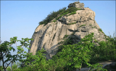 信阳最好景点（一起盘点信阳十大美景）(7)
