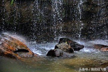 信阳最好景点（一起盘点信阳十大美景）(23)