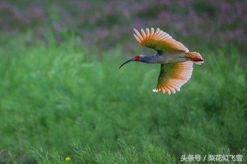 信阳最好景点（一起盘点信阳十大美景）(31)