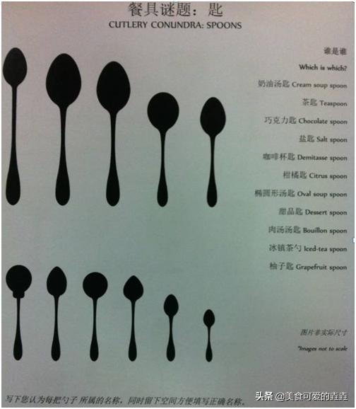 最正宗的西餐礼仪（史上最全西餐用餐礼仪入门）(25)