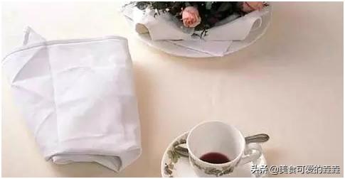 最正宗的西餐礼仪（史上最全西餐用餐礼仪入门）(23)