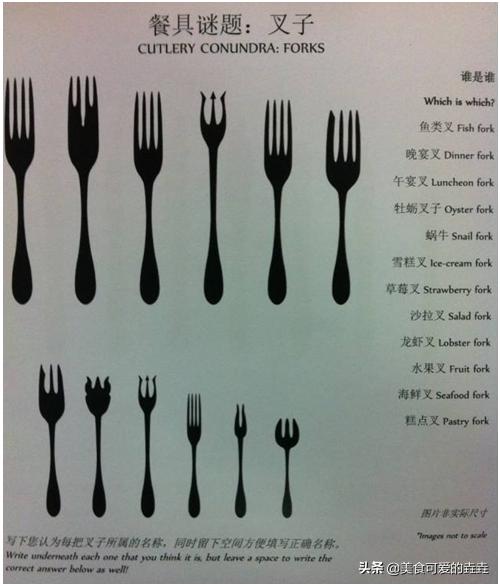 最正宗的西餐礼仪（史上最全西餐用餐礼仪入门）(27)