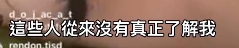 豆荚猫服装（密恐勿视的时尚潮流）(47)