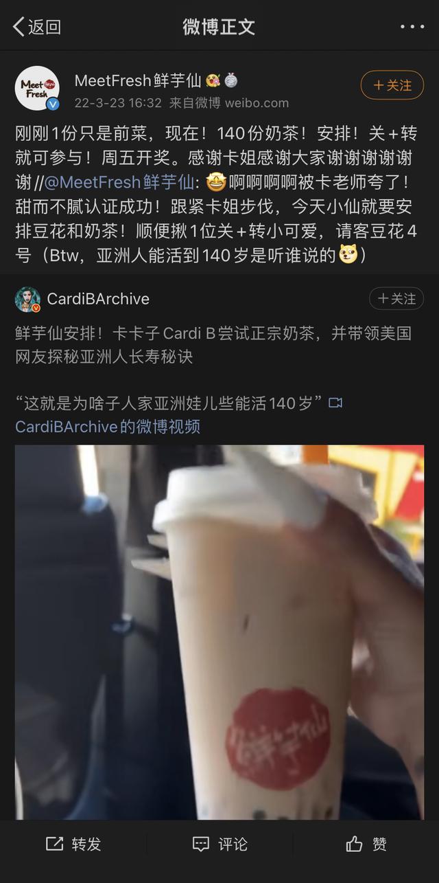 豆荚猫服装（密恐勿视的时尚潮流）(1)