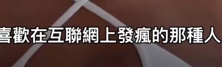 豆荚猫服装（密恐勿视的时尚潮流）(40)