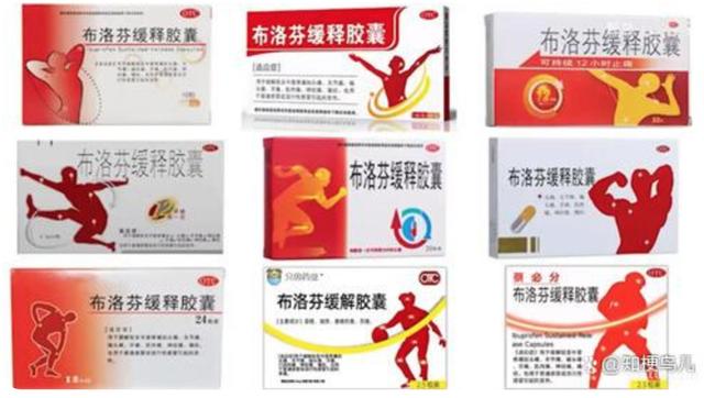 豆荚猫服装（密恐勿视的时尚潮流）(6)