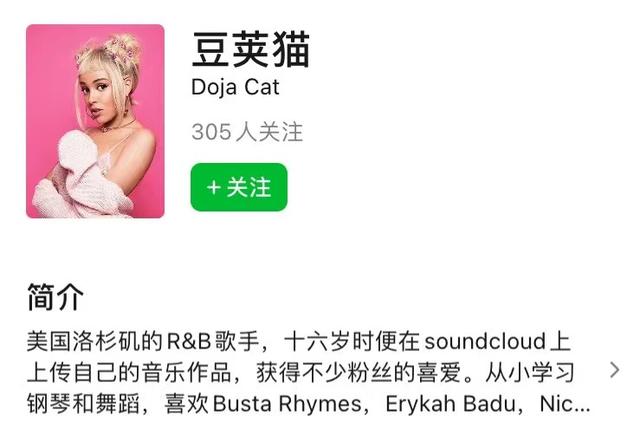 豆荚猫服装（密恐勿视的时尚潮流）(27)