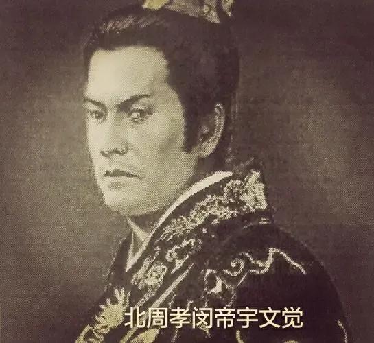 宇文是哪个朝代的皇族（由宇文家族掌管）(5)