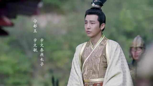 宇文是哪个朝代的皇族（由宇文家族掌管）(4)