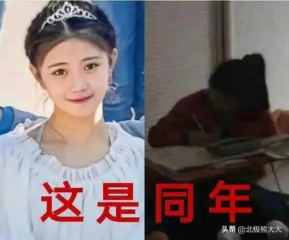 新任谋女郎刘浩存简介（谋女郎刘浩存走到万人唾弃这一步）(19)