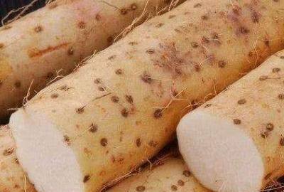 如何挑选好品质的山药，如何挑选山药的好坏？图4