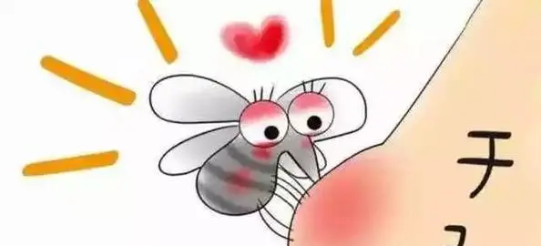 手打蚊子的危害,被蚊虫叮咬对身体有什么危害图3