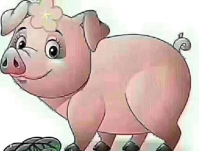 元宵吃什么，元宵节吃什么干什么为什么要这样做？图7