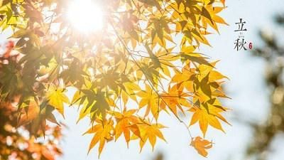 三个立秋是什么意思
