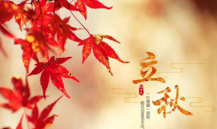2021年小暑大暑立秋处暑的时间，代表什么意思