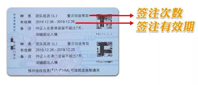 本式港澳通行证换发（本式往来港澳通行证9月将失效）(10)