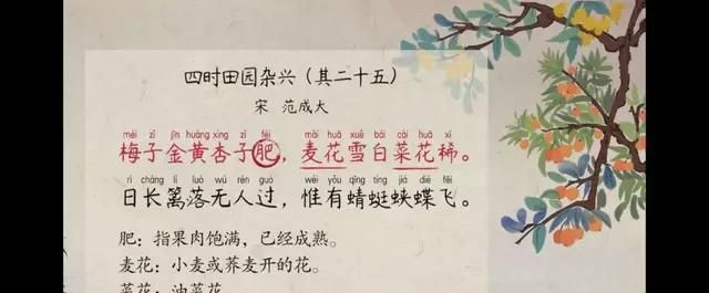四时田园杂兴其三十一意思