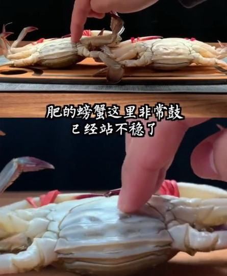 梭子蟹怎样挑选肥的,梭子蟹怎样分肥和瘦图解图4