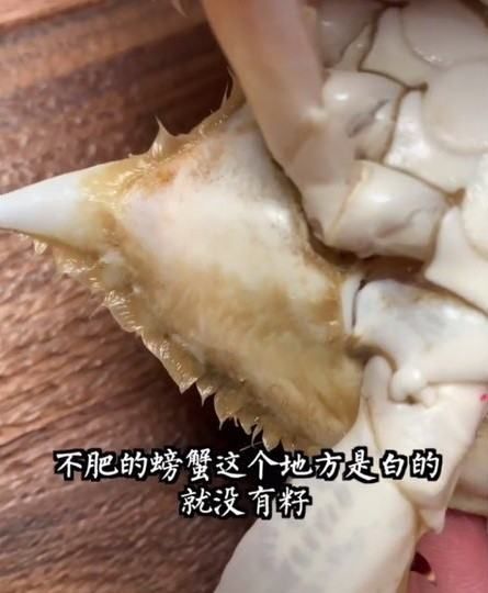 梭子蟹怎样挑选肥的,梭子蟹怎样分肥和瘦图解图7