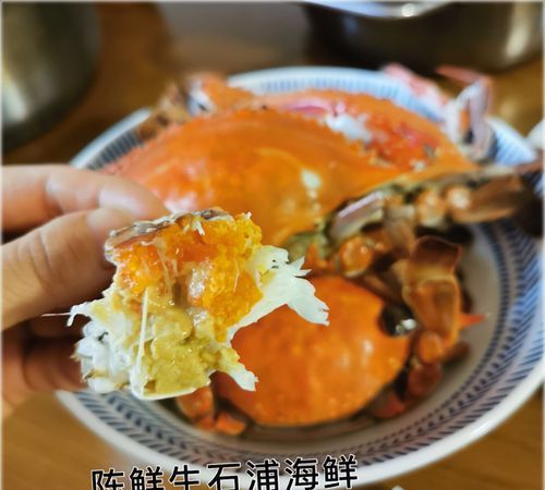 怎样挑选超肥的梭子蟹视频