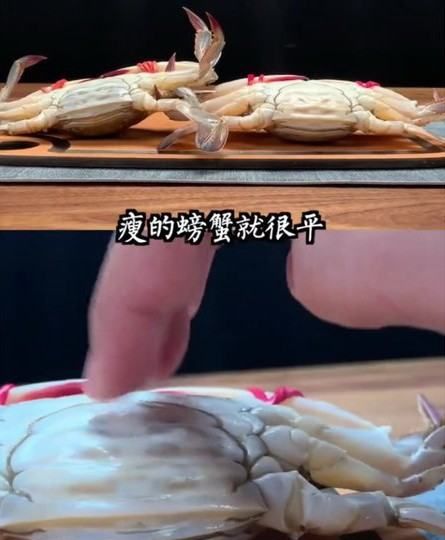 梭子蟹怎样挑选肥的,梭子蟹怎样分肥和瘦图解图5