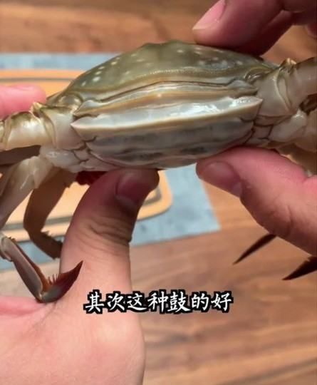 梭子蟹怎样挑选肥的,梭子蟹怎样分肥和瘦图解图2