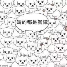 芒果最红的女主持人（芒果女主持如今何在）(21)