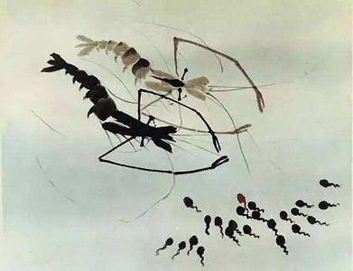 ​80后的童年回忆动画片40部（那些年陪我长大的动画片）