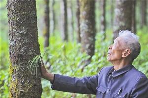 改革开放英雄人物事迹简介（改革先锋称号获得者杨善洲）(1)