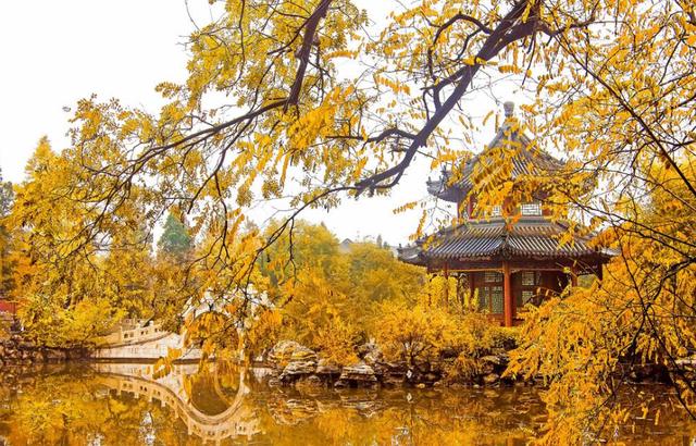 保定最好景点（保定最美风景TOP9新鲜出炉）(15)