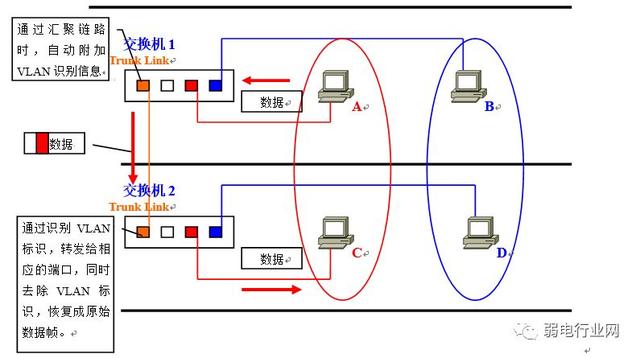 vlan的四种划分方式（让你看一遍就理解VLAN）(11)