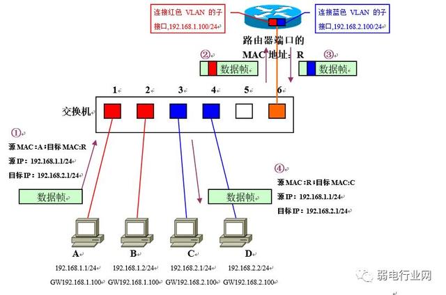 vlan的四种划分方式（让你看一遍就理解VLAN）(14)
