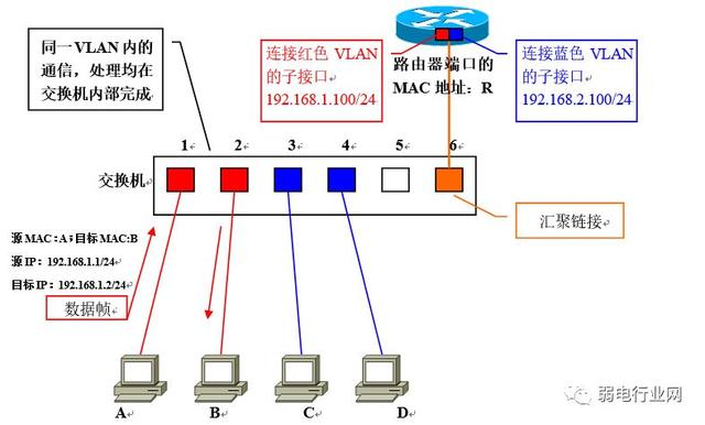 vlan的四种划分方式（让你看一遍就理解VLAN）(12)