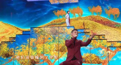 ​王琪现场版最好听的十首歌（别人不要的歌自己唱成名）