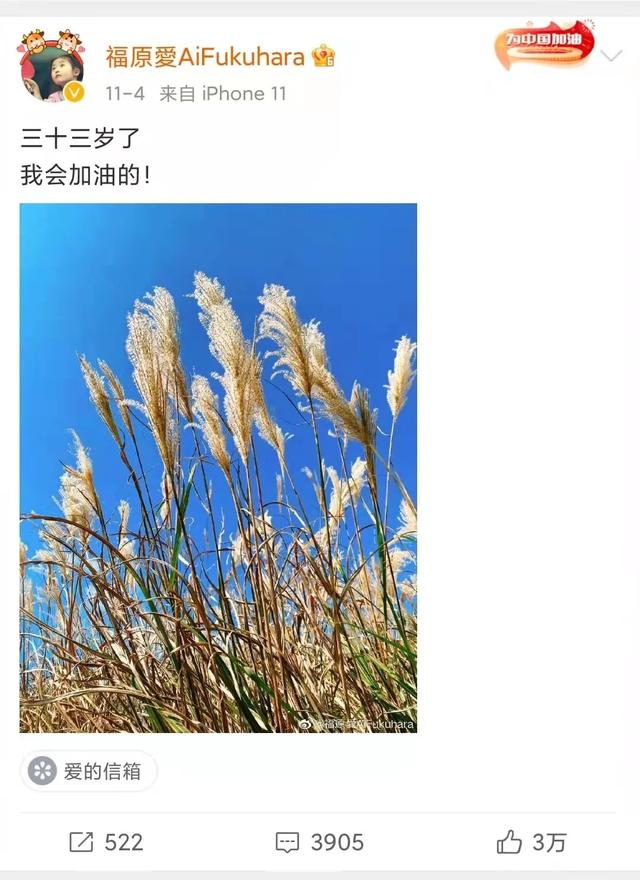 福原爱发长文祝福（恭喜33岁的福原爱）(24)