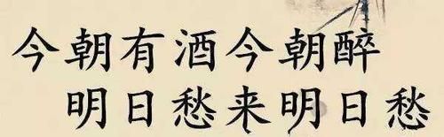 今朝有酒今朝醉下一句神回复
