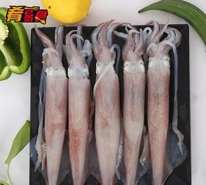 鱿鱼鳝鱼哪个不属于鱼类