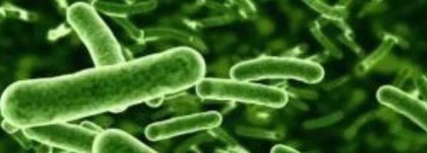 分解者有哪些生物,分解者的生物种类图3