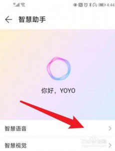 ​yoyo智能生命体怎么唤醒（智慧功能YOYO建议）