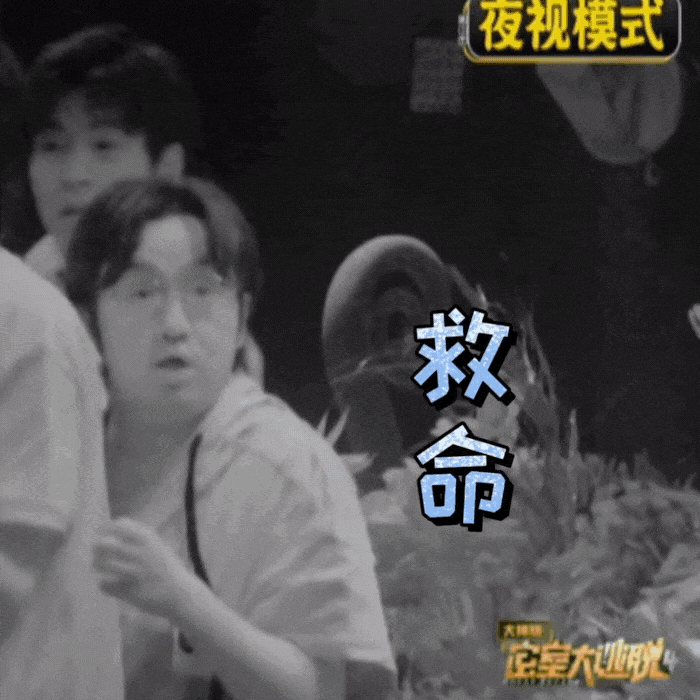 真人秀综艺节目哪些好看（史上10部高分高口碑的真人秀）(14)