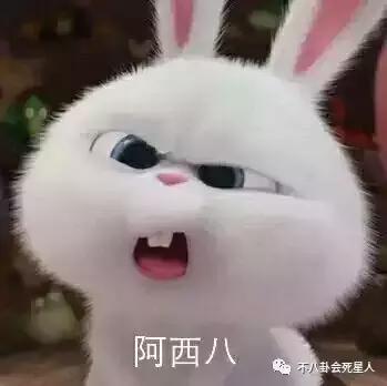 洪欣的婚恋观（同样二婚嫁小十岁头婚老公）(6)