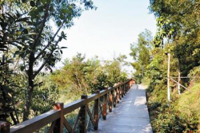​十大氧吧城市