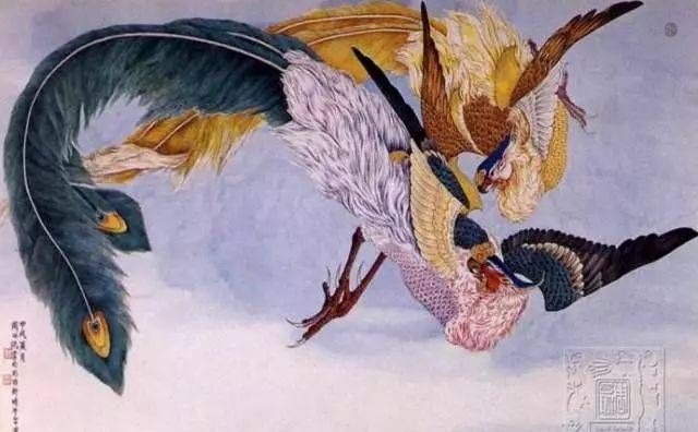 凤和凰哪个是公哪个是母