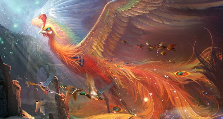 凤和凰哪个是雄性